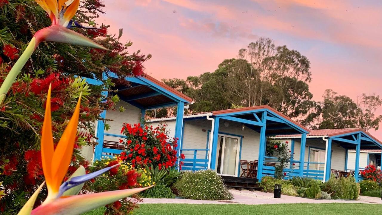 Costa Do Vizir Beach Village 科武港 外观 照片